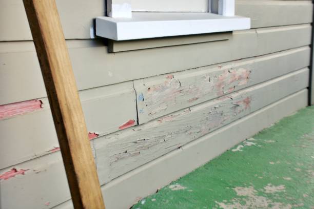 Professional Siding Installation & Repair in Leona Valley, CA